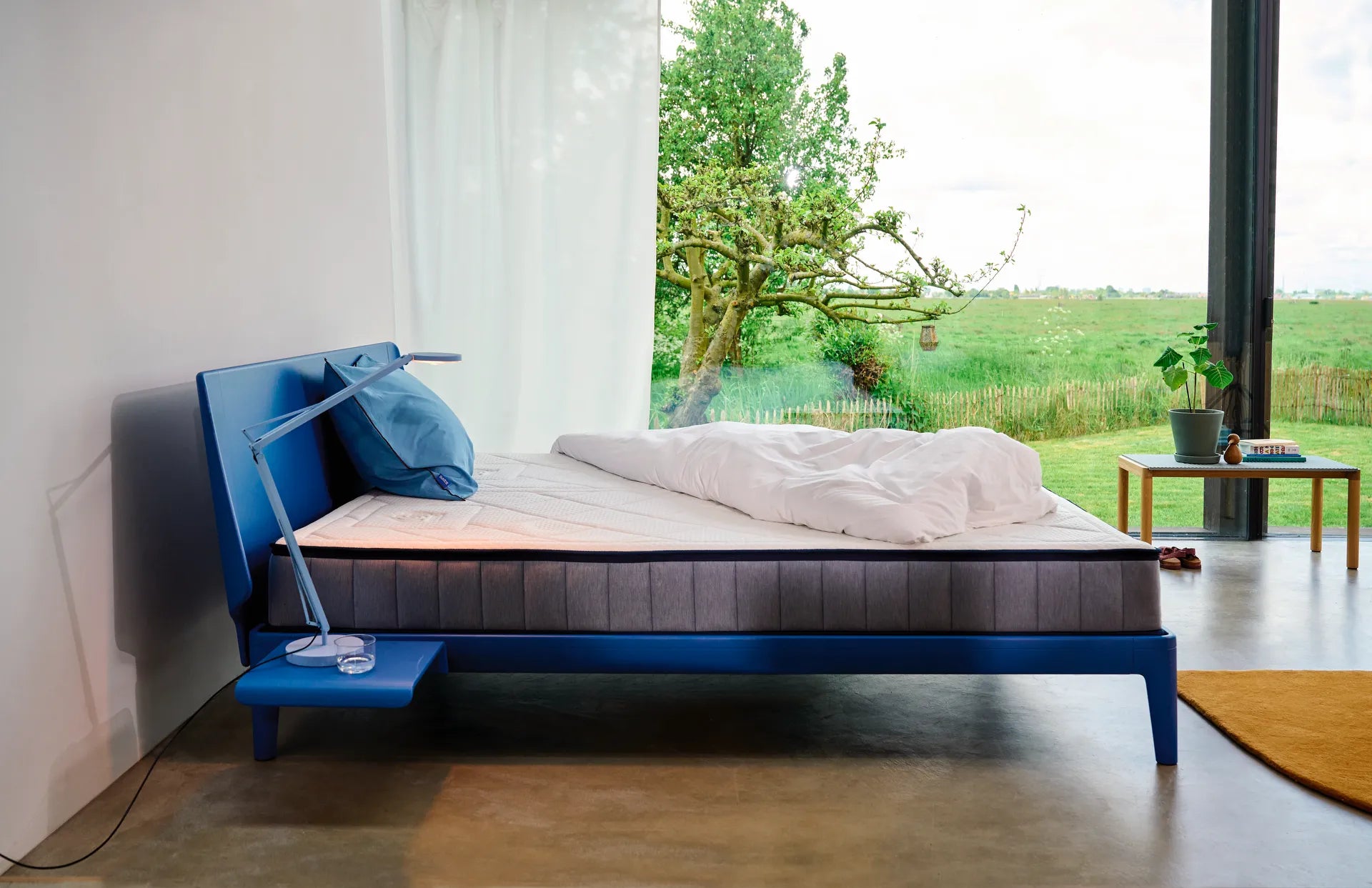 Auping Evolve matras